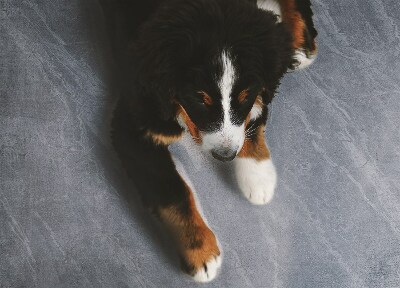 Vinilni tepih Strukturni mramor