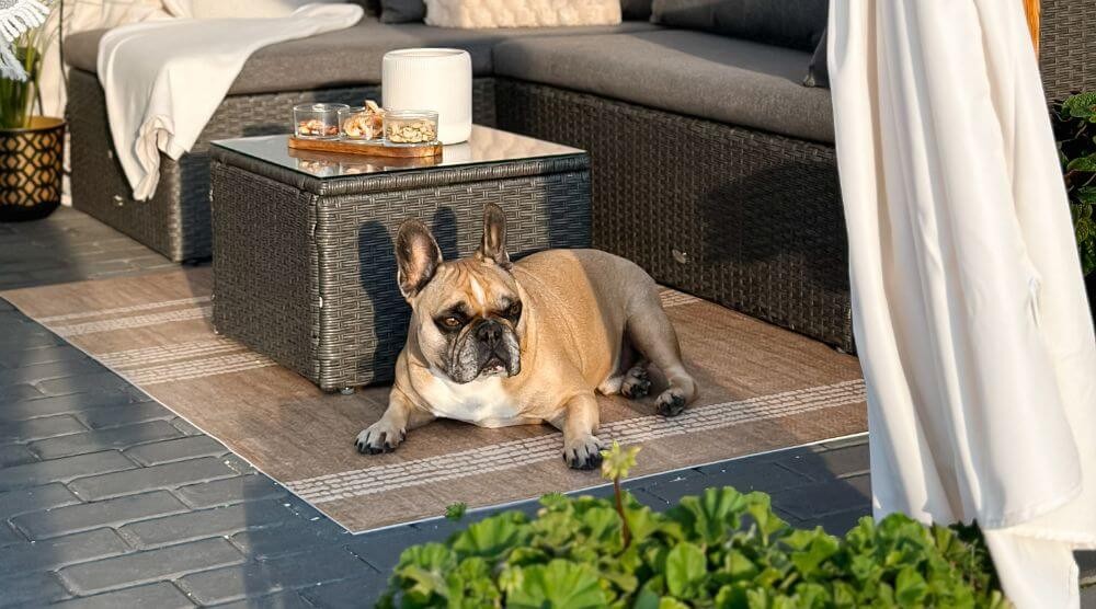 Životinjski prostirke