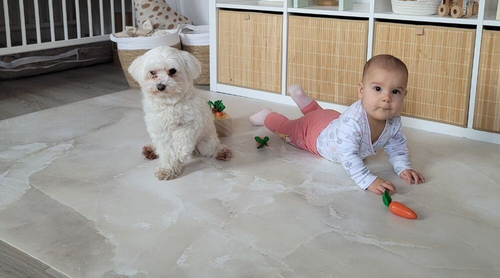 Životinjski prostirke